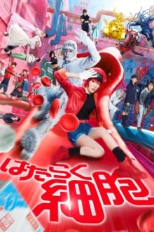 Cells at Work (2024) - Sub Indo