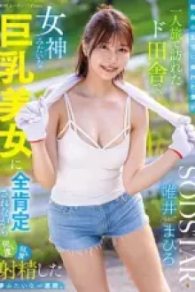 Dalam Perjalanan Sendiri (2025)