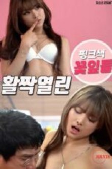 Kelopak Merah Muda Terbuka Lebar (2025)