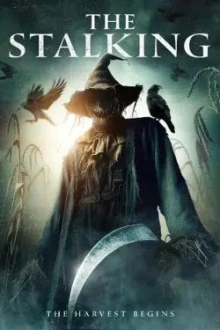 The Stalking (2024) - Sub Indo